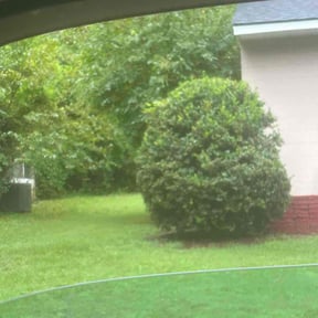 Bush Trimming by Supreme Home Services reviewed on December 3, 2025