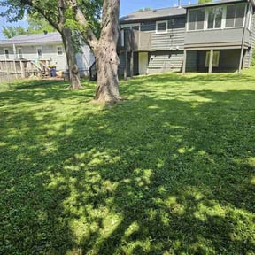 yard work by Michael's Superior Lawn Service reviewed on October 19, 2025