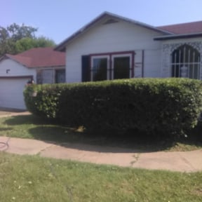 Bush Trimming by DT Lawn Care reviewed on August 15, 2025