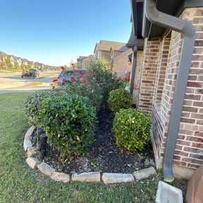 Bush Trimming by Justin Adams reviewed on November 8, 2025