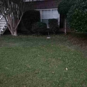 Bush Trimming by Fresh cuts lawn service reviewed on August 19, 2025