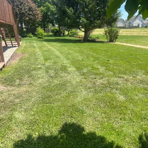 yard service by J&S Landscaping reviewed on August 17, 2025