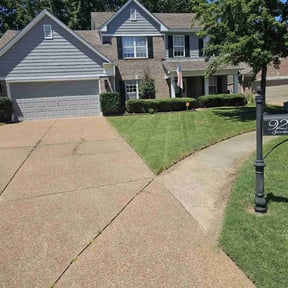 yard care by Trapper services reviewed on August 19, 2025