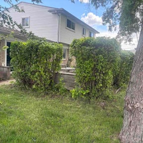 Bush Trimming by Dj's Lawn Care reviewed on June 19, 2026