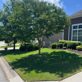 yard service by Eagle Lawn Care reviewed on August 16, 2025