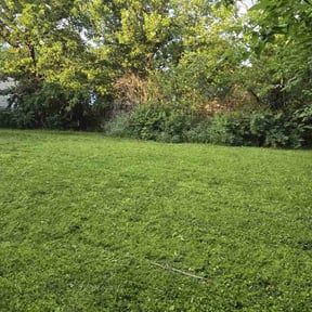 lawn service by Green Lawn Services reviewed on August 17, 2025