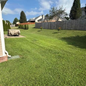 residential landscaping by Big Al’s Lawn Care reviewed on August 19, 2025