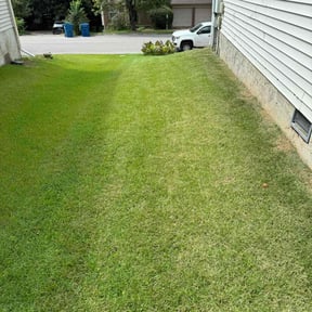 lawn service by Family Lawn Care reviewed on June 26, 2023