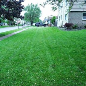yard care by BNK Home Improvements & Landscaping LLC reviewed on August 19, 2025