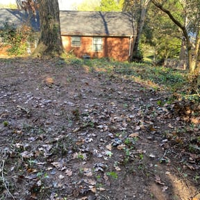 Leaf Removal by bjourklund landscaping reviewed on September 19, 2025