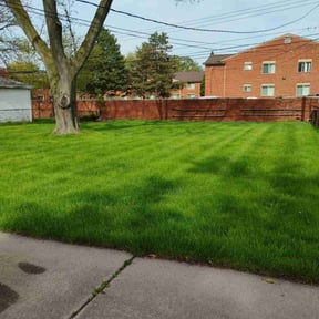 yard work by HTx Landscaping Services reviewed on August 15, 2025