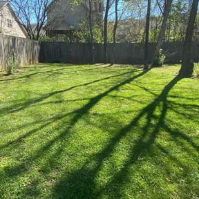 residential landscaping by All American Services reviewed on November 21, 2025