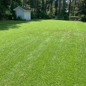 yard service by J Jr’s Lawn Maintenance reviewed on August 17, 2025