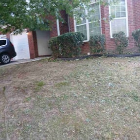 Bush Trimming by Courrier Lawn Co. reviewed on August 17, 2025