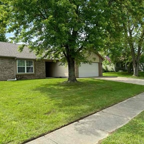 grass cutting by Azuloutdoorservices@gmail.com reviewed on August 24, 2024