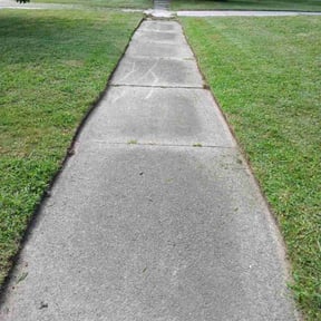 turf maintenance by Flynn lawn maintenance llc reviewed on November 22, 2023