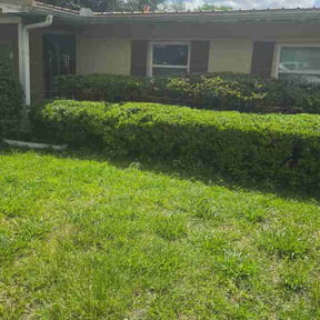 Bush Trimming by Double Ts Construction LLC reviewed on July 21, 2026