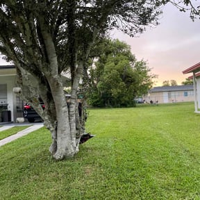 grass maintenance by K Sisters Lawncare reviewed on August 17, 2025