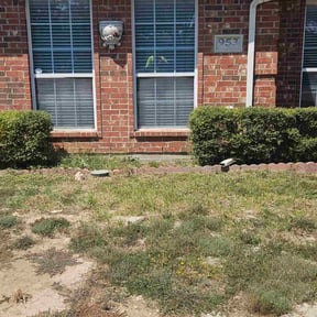 Bush Trimming by David Rodriguez reviewed on November 6, 2025