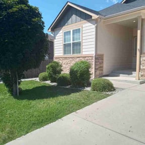 Bush Trimming by Hugo Lopez Landscaping reviewed on August 21, 2025
