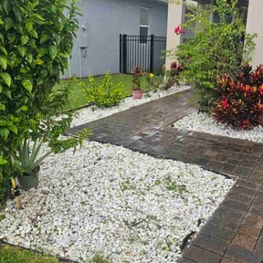 Leaf Removal by Tim&#039;s Discount Lawn reviewed on November 6, 2025