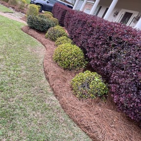 Leaf Removal by Mean Mowz reviewed on September 13, 2025