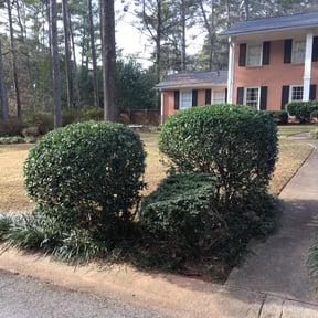Bush Trimming by Emanuel Lawn Mowing LLC reviewed on August 17, 2025