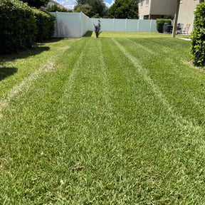 yard service by Jeremy Faulk LLC reviewed on August 16, 2025