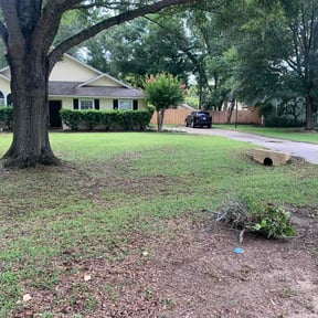 Flower Bed Weeding by Prodigy Contractors Inc reviewed on June 22, 2026