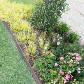 Flower Bed Weeding by ChampStatus Lawn service reviewed on July 19, 2026