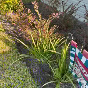 Flower Bed Weeding by Pedrito’s lawn service llc reviewed on July 27, 2022