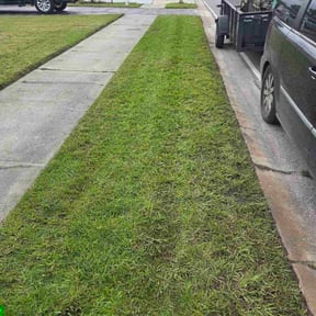 turf maintenance by M&amp;M Lawn Care reviewed on May 23, 2022