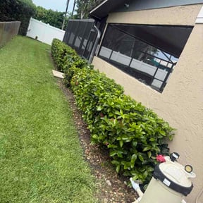 Bush Trimming by Lane's Lawn Care LLC reviewed on July 13, 2026