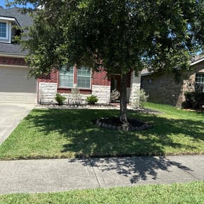 yard maintenance by Checkpoint Lawn services reviewed on December 18, 2025