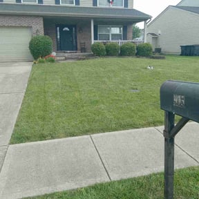 lawn care services by MOG & Landscaping reviewed on October 7, 2024