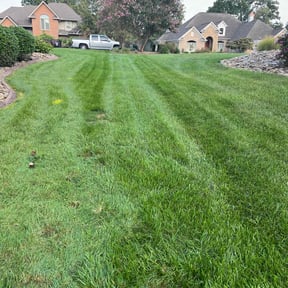 grass maintenance by D&#039;s Lawn Care reviewed on July 11, 2022