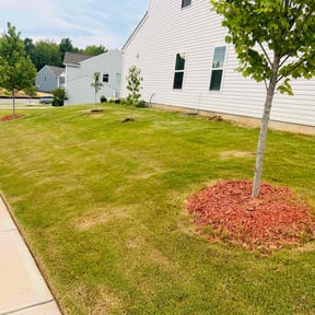 landscaping by Mom and Pop's Mulch Yard reviewed on August 22, 2024