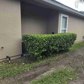 Bush Trimming by MPV Landscaping reviewed on August 19, 2025