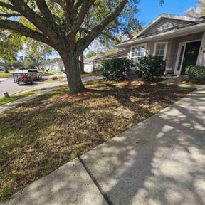 Leaf Removal by Gios Multitask Lawn &amp; Landscaping Services LLC reviewed on August 27, 2026