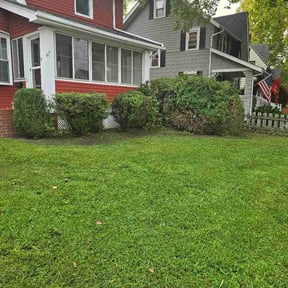 Bush Trimming by Kyle S Shafia reviewed on August 18, 2026