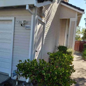 Leaf Removal by KC Lawn Services reviewed on June 20, 2026