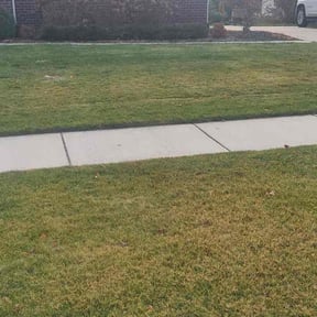 Leaf Removal by Forever Green landscaping reviewed on October 24, 2025