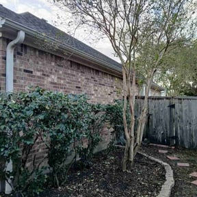 Bush Trimming by Trendy Lawn Care LLC reviewed on August 16, 2025