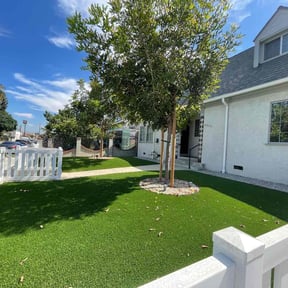 yard service by AYS reviewed on February 9, 2024