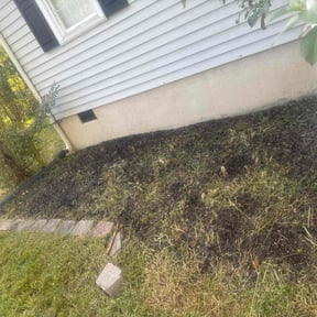 Flower Bed Weeding by Flores Landscape Management reviewed on November 21, 2025