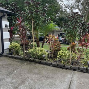 Bush Trimming by Clean Cut reviewed on October 21, 2025