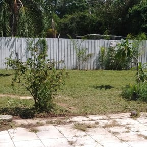 Bush Trimming by MM Lawn Cutting reviewed on August 15, 2025