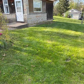 Leaf Removal by Forte's Express Pressure Washing and Lawn care reviewed on April 30, 2026