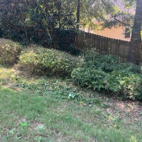 Bush Trimming by Joe&#039;s Home Services reviewed on October 20, 2025