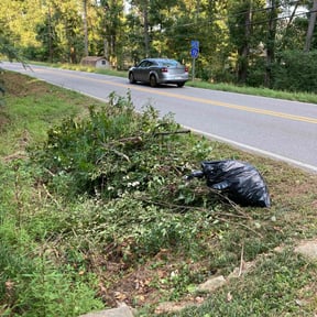 Bush Trimming by Gio Landscaping reviewed on June 16, 2020